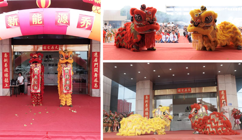 Lion dance performance