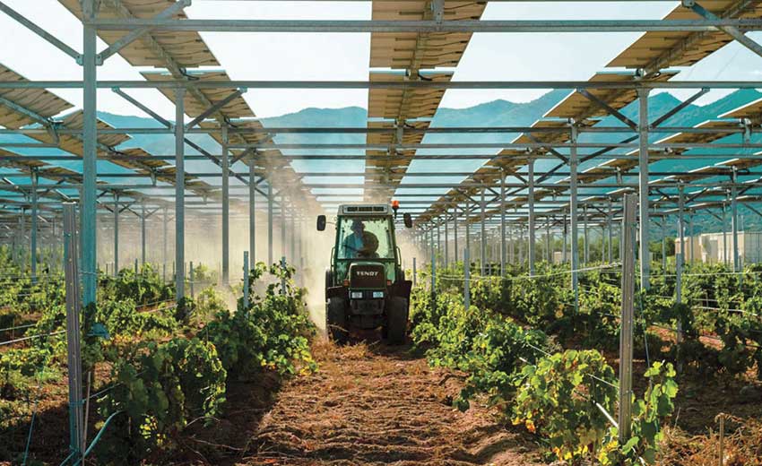 Elevated Agricultural PV