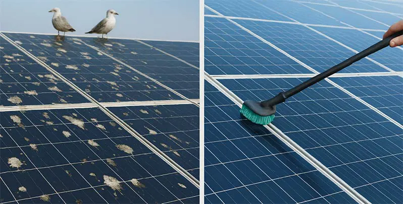 A before-and-after image of cleaning bird droppings off a solar panel.