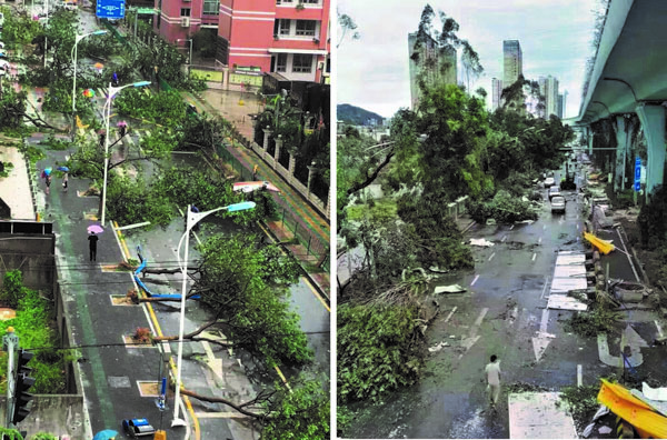 Even deep-rooted trees have been uprooted by the strong wind