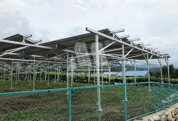 Mibet Japan Agricultural PV Project