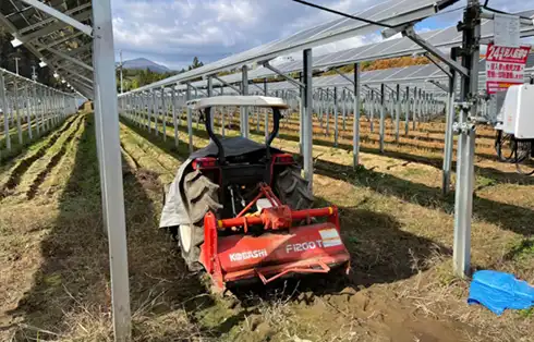 Solar farmland project in Nihonmatsu