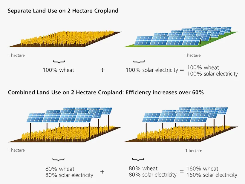 Agrivoltaics technique